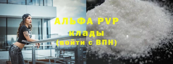 крисы Новозыбков