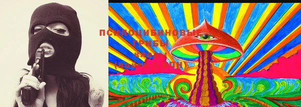 твердый Арсеньев