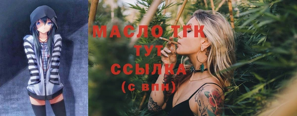 твердый Арсеньев